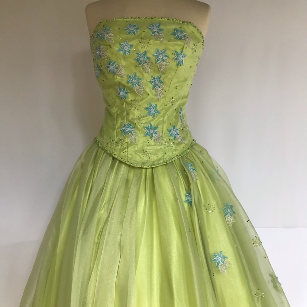 Quinceañera/prom dress